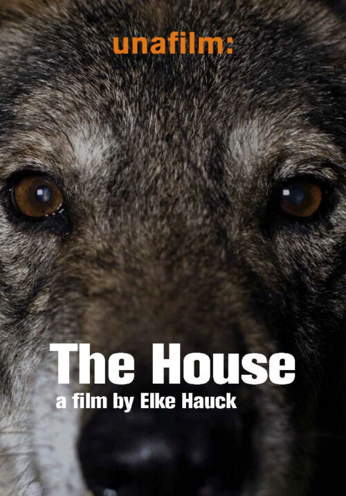The House